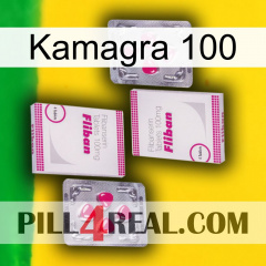 Kamagra 100 33